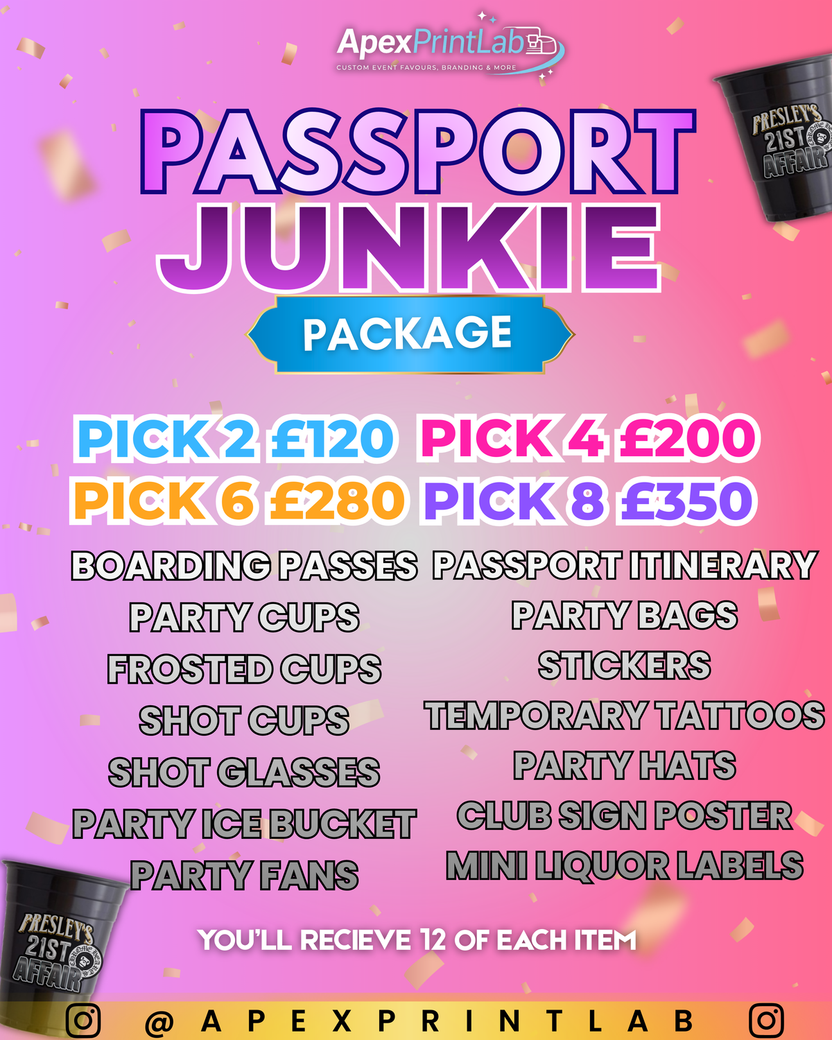 Passport Junkie Package